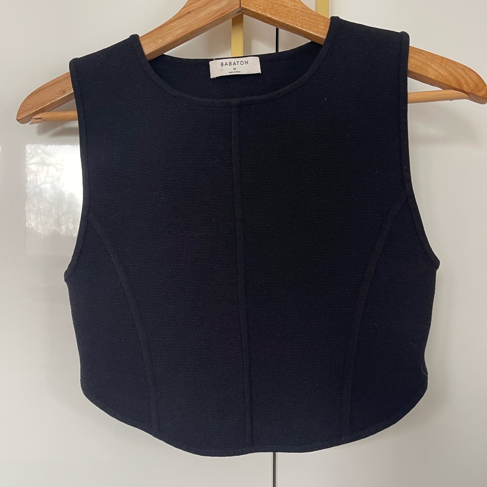 Aritzia Babton sculpted crop top